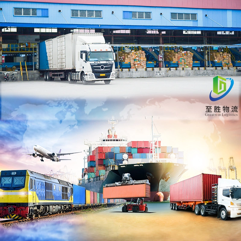 Professional DHL Express China Freight Agent Air Freight/Sea Freight DDP/DDU From China to USA