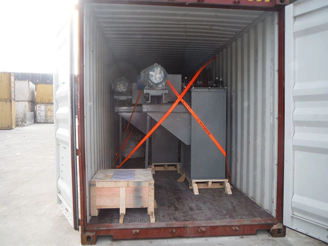 Professional Freight Forwarder Sea Shipping Agent Shipping Cost Rates China to The World