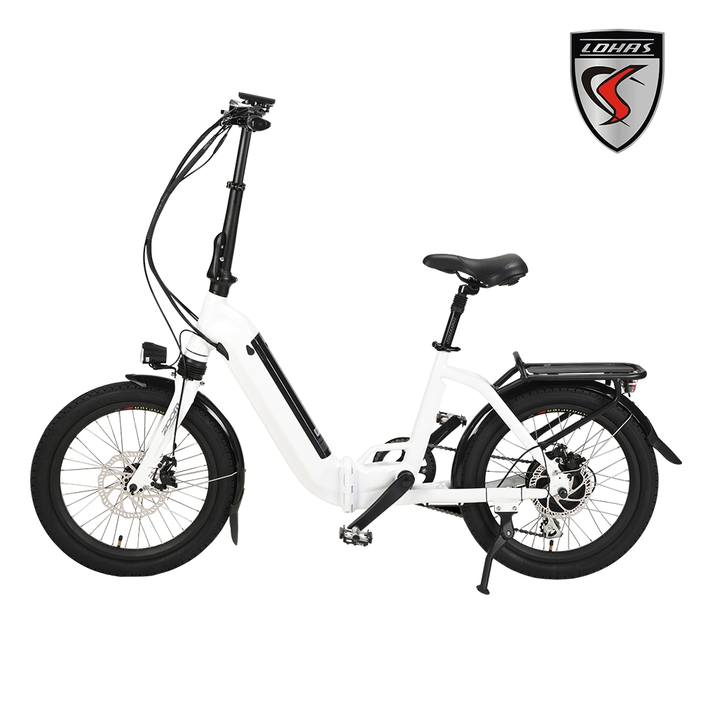 250W Mobility Folding Electric Dirt Bike Mini Bike/Bicycle Adult City Transport