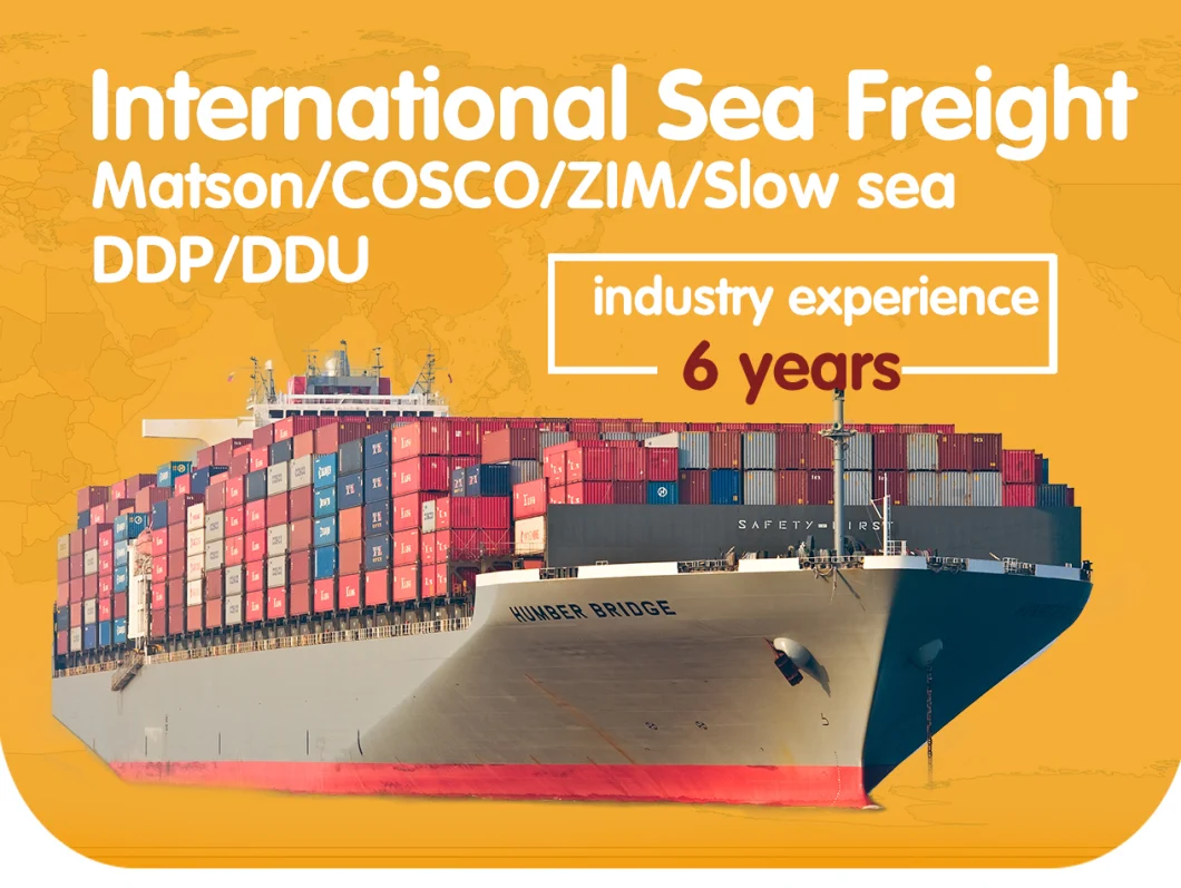 Lowest Cost Freight LCL FCL DDP Sea Freight Ocean Shipping From China to Germany Canada /Amazon