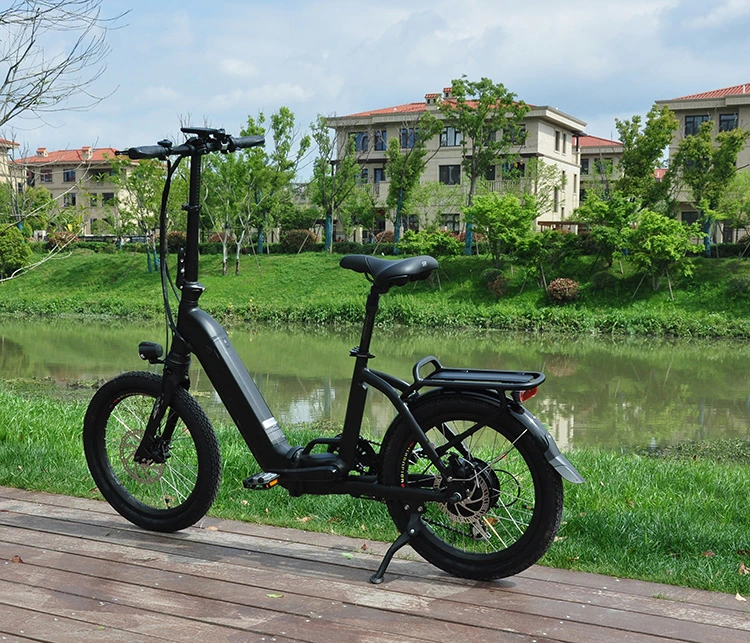 250W Mobility Folding Electric Dirt Bike Mini Bike/Bicycle Adult City Transport