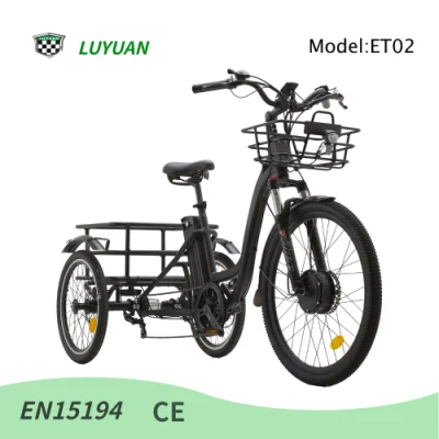 Tricycle électrique Cargo Transport Et02