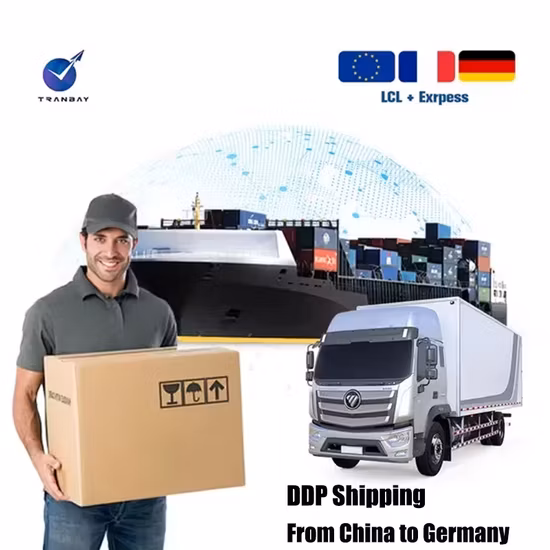 Compagnie de transport professionnelle DDP surdimensionnée et en surpoids de la Chine aux États-Unis Livraison rapide Agents de fret porte à porte