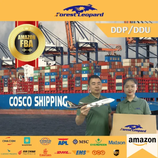 Expédition maritime DDP pas cher Meilleurs transitaires de la Chine vers Amazon Fba Angleterre, Allemagne, France